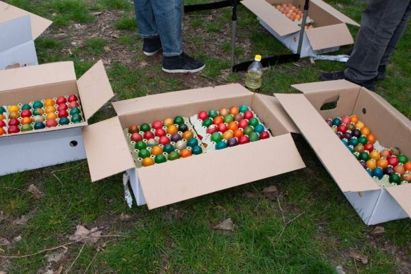 669248039-122360571392004345-6715934802284749991-n64F04D9B-A3DF-01F9-3DF8-53E7001ED69A.jpg
